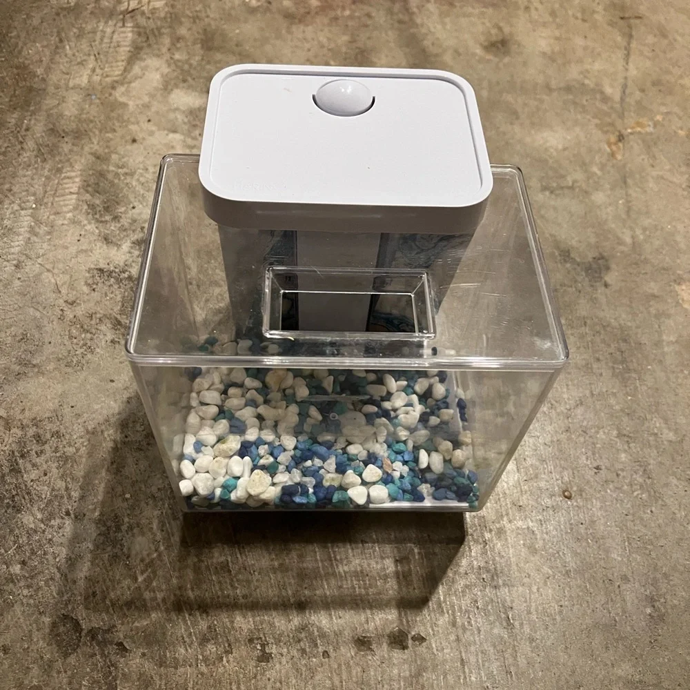 Petco beta fish tanks